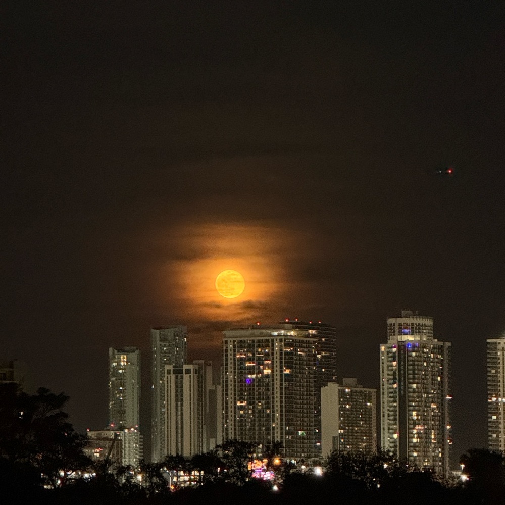 Meet your Posher, Sebastian